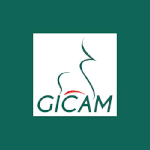 GICAM
